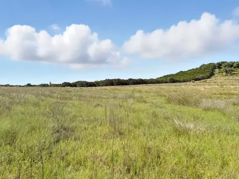 6902 Fm 1690, Gatesville, TX 76528