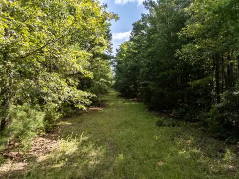 0 Ginger Rd, Gilmer, TX 75644 photo 10