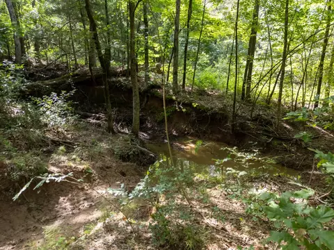0 Ginger Rd, Gilmer, TX 75644 photo 7