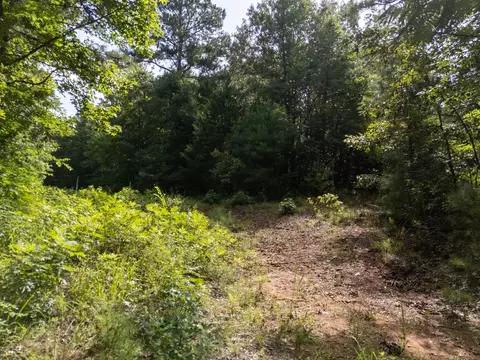 0 Ginger Rd, Gilmer, TX 75644 photo 11