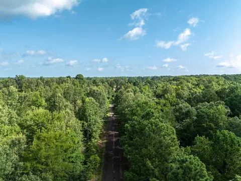 0 Ginger Rd, Gilmer, TX 75644 photo 2
