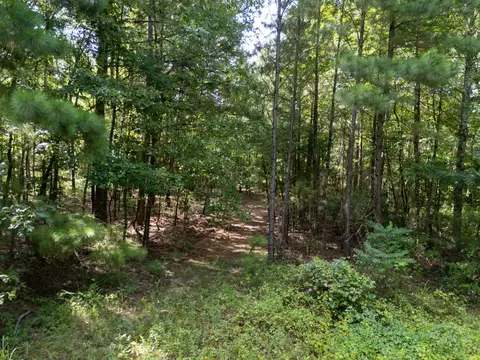 0 Ginger Rd, Gilmer, TX 75644 photo 15