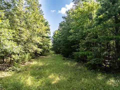 0 Ginger Rd, Gilmer, TX 75644 photo 16