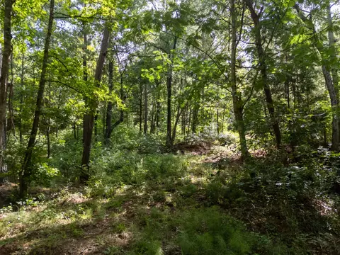 0 Ginger Rd, Gilmer, TX 75644 photo 8