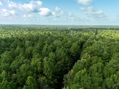 0 Ginger Rd, Gilmer, TX 75644 photo 4