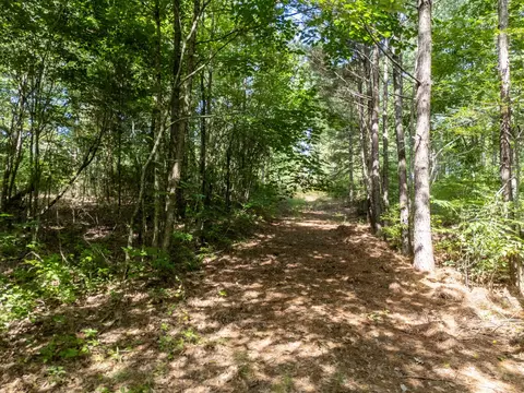 0 Ginger Rd, Gilmer, TX 75644 photo 18