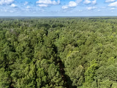 0 Ginger Rd, Gilmer, TX 75644 photo 14