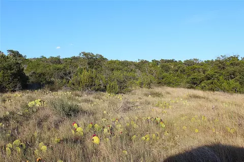tbd T3 Hwy 208, Robert Lee, TX 76945 photo 5