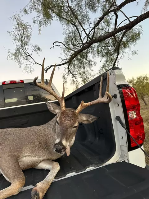 6525 E 180, Anson, TX 75901 photo 2