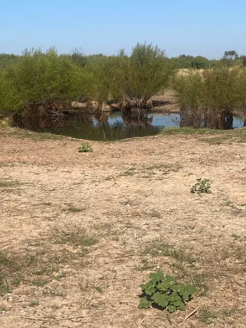 6525 E 180, Anson, TX 75901 photo 4
