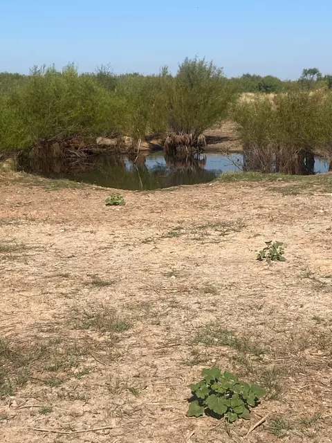 6525 E 180, Anson, TX 75901 photo 4