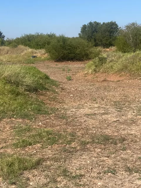6525 E 180, Anson, TX 75901 photo 7