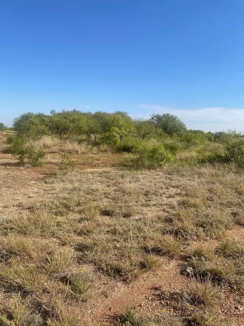 6525 E 180, Anson, TX 75901 photo 6