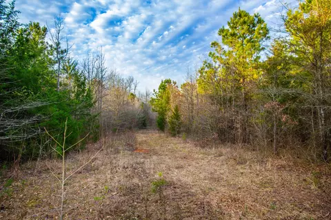 tbd Mistletoe Rd, Gilmer, TX 75644 photo 31