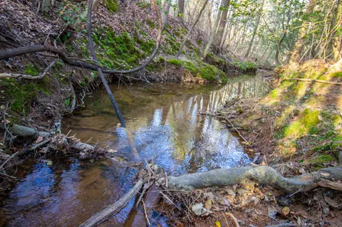 tbd Mistletoe Rd, Gilmer, TX 75644 photo 27