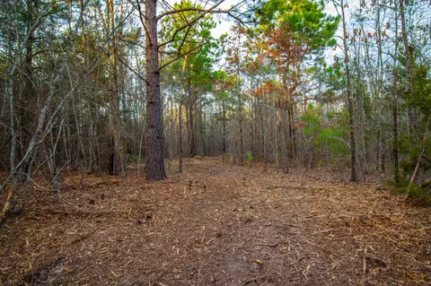 tbd Mistletoe Rd, Gilmer, TX 75644 photo 34