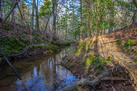 tbd Mistletoe Rd, Gilmer, TX 75644 photo 28