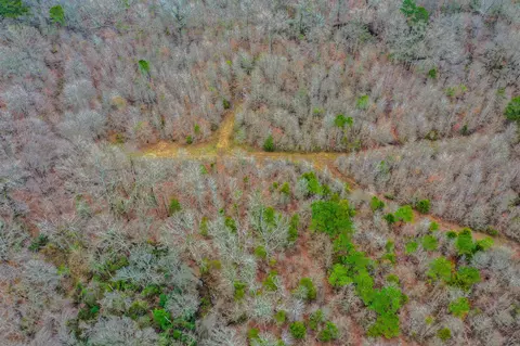 tbd Mistletoe Rd, Gilmer, TX 75644 photo 11