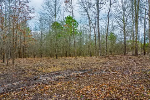 tbd Mistletoe Rd, Gilmer, TX 75644 photo 15