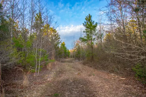 tbd Mistletoe Rd, Gilmer, TX 75644 photo 36