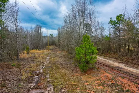 tbd Mistletoe Rd, Gilmer, TX 75644 photo 13