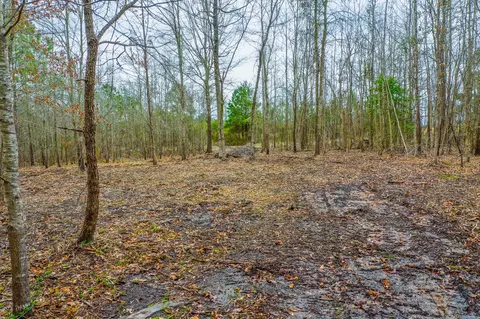 tbd Mistletoe Rd, Gilmer, TX 75644 photo 17