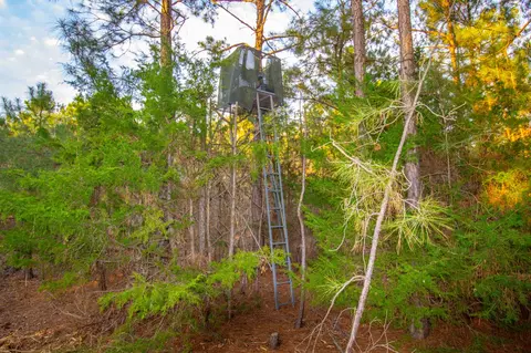 tbd Mistletoe Rd, Gilmer, TX 75644 photo 35