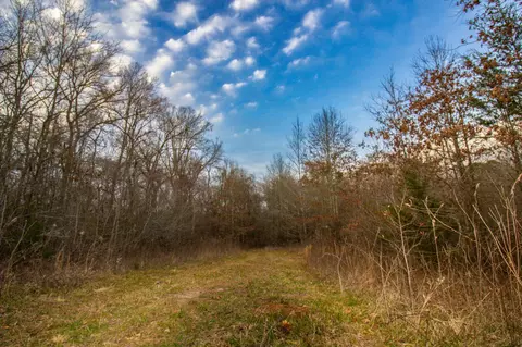 tbd Mistletoe Rd, Gilmer, TX 75644 photo 38