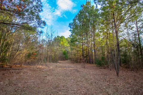 tbd Mistletoe Rd, Gilmer, TX 75644 photo 32