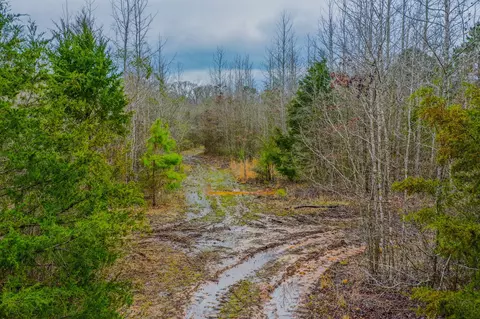 tbd Mistletoe Rd, Gilmer, TX 75644 photo 7