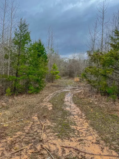 tbd Mistletoe Rd, Gilmer, TX 75644 photo 23
