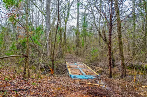 tbd Mistletoe Rd, Gilmer, TX 75644 photo 4
