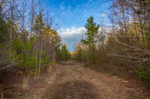 tbd Mistletoe Rd, Gilmer, TX 75644 photo 37