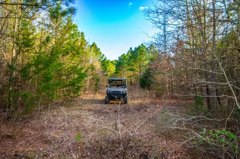 tbd Mistletoe Rd, Gilmer, TX 75644 photo 30