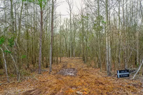 tbd Mistletoe Rd, Gilmer, TX 75644 photo 14