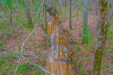 tbd Mistletoe Rd, Gilmer, TX 75644 photo 3