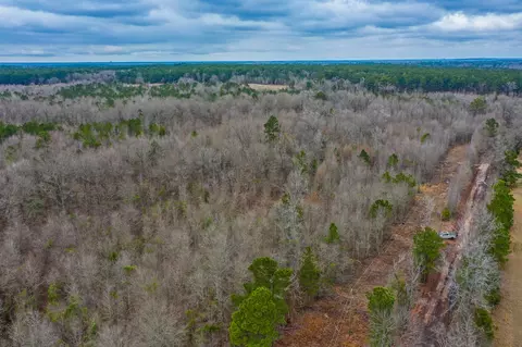 tbd Mistletoe Rd, Gilmer, TX 75644 photo 12