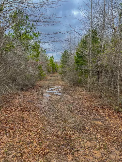 tbd Mistletoe Rd, Gilmer, TX 75644 photo 22