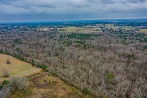 tbd Mistletoe Rd, Gilmer, TX 75644 photo 9
