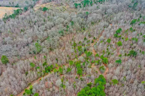 tbd Mistletoe Rd, Gilmer, TX 75644 photo 2