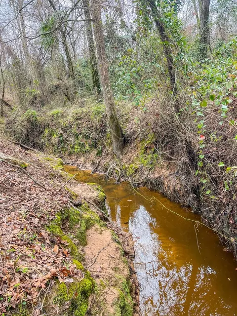 tbd Mistletoe Rd, Gilmer, TX 75644 photo 19