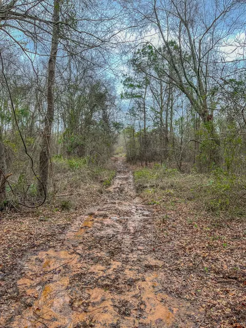 tbd Mistletoe Rd, Gilmer, TX 75644 photo 25