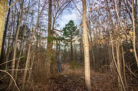 tbd Mistletoe Rd, Gilmer, TX 75644 photo 39