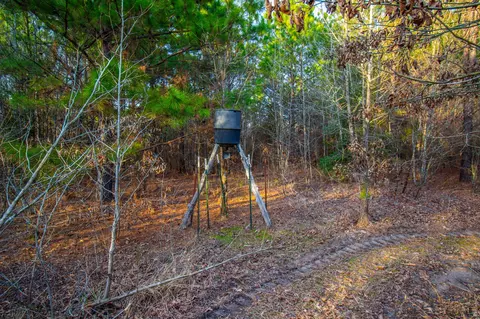 tbd Mistletoe Rd, Gilmer, TX 75644 photo 33