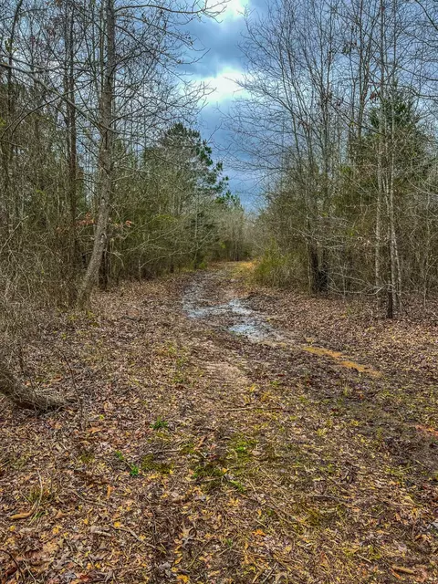 tbd Mistletoe Rd, Gilmer, TX 75644 photo 24
