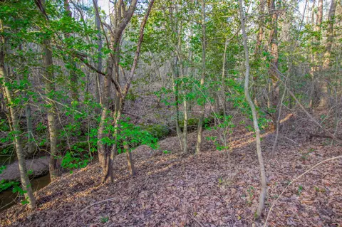 tbd Mistletoe Rd, Gilmer, TX 75644 photo 29