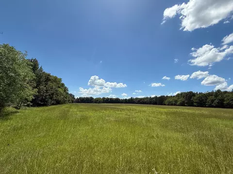 00 Cr 1670, Mount Pleasant, TX 75455