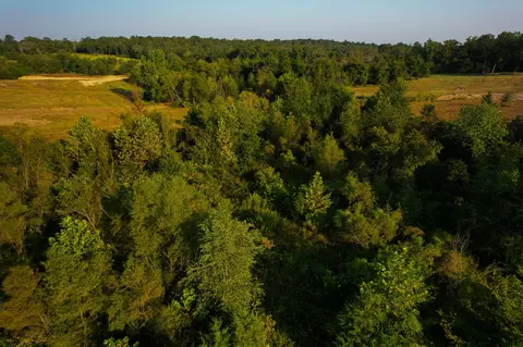 0000 County Road 37100, Sumner, TX 75486 photo 3