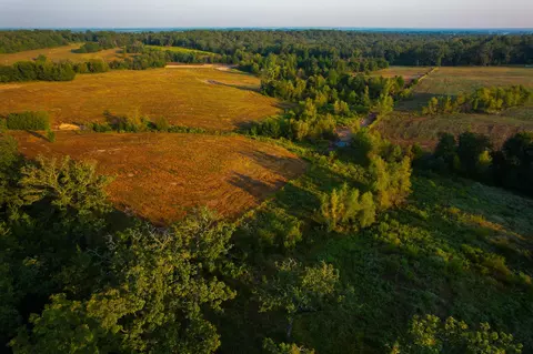 0000 County Road 37100, Sumner, TX 75486 photo 14