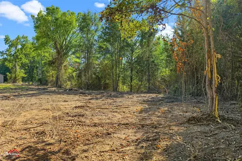 0 Bolinger Cutoff Rd, Plain Dealing, LA 71064 photo 13